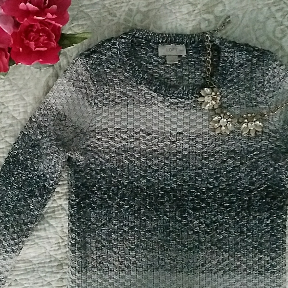 Loft Cozy Sweater